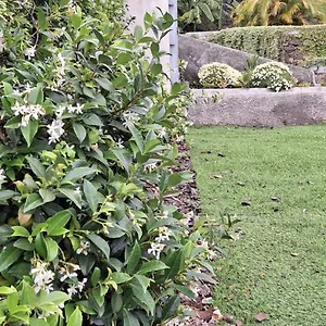 https://house-stephanie.madeira-islandshotels.com